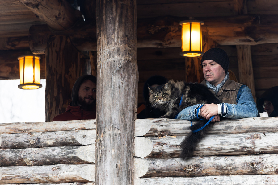 Блины, пляски и огонь: как отпраздновали Масленицу в поселении викингов «Кауп»