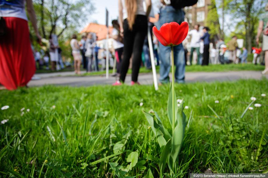 «Бессмертный марш»: символическая акция «Бессмертный полк» в День Победы
