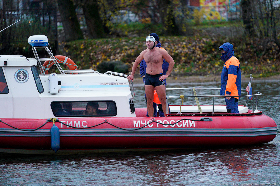 День моржа: как пловцы пытались защитить экосистему Преголи (фото)