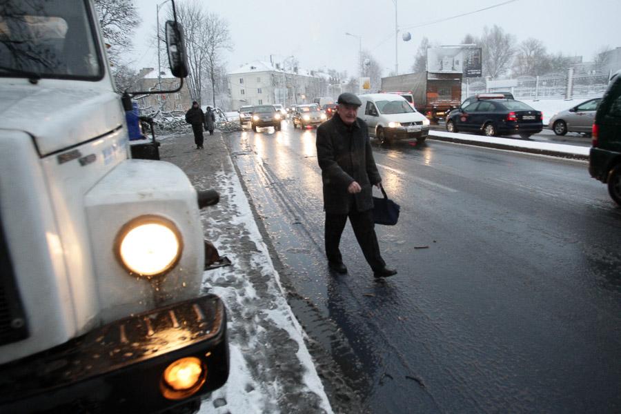 В Калининграде упавшее во время урагана дерево заблокировало движение по ул. Невского (фото)  