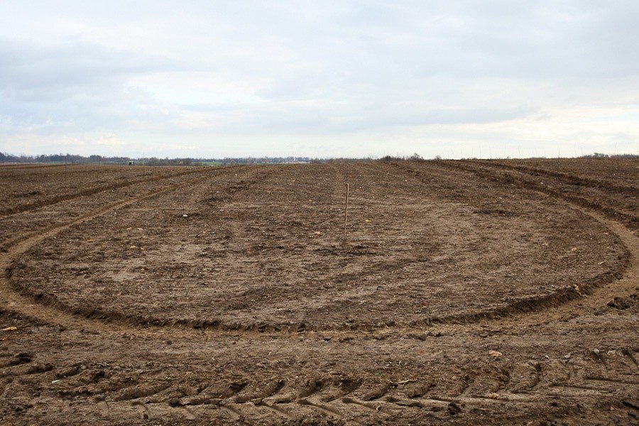Власти Калининграда резервируют 12 участков на Сельме для многодетных семей