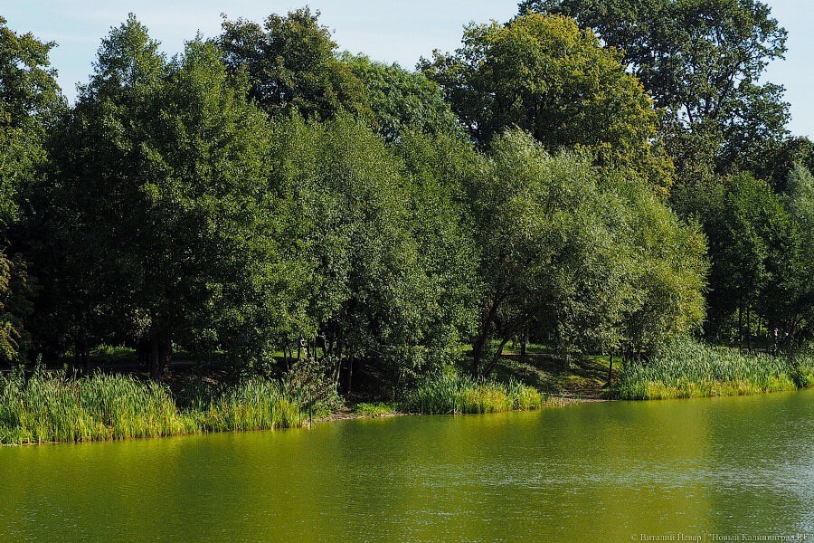 В Советске нашли тело пропавшего у реки 6-летнего мальчика