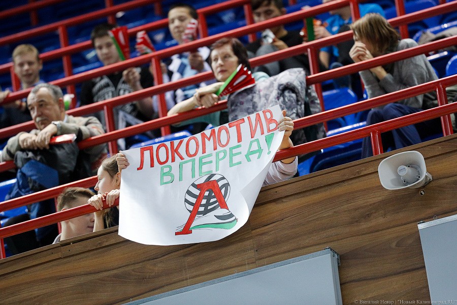 Два «Динамо» подряд: в Калининграде проходит волейбольный «Финал четырех» (фото)
