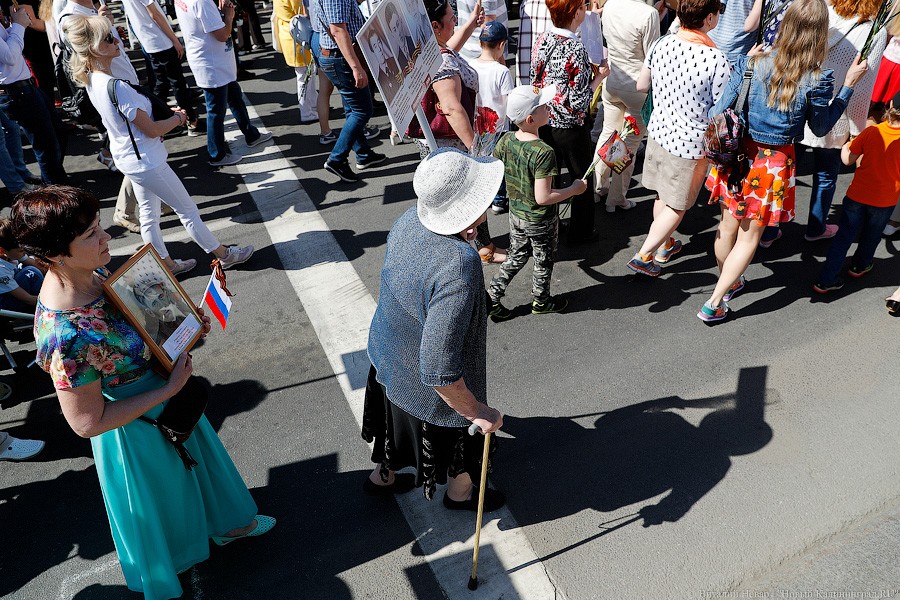 Ради мира на земле: шествие «Бессмертного полка» в Калининграде (фото)