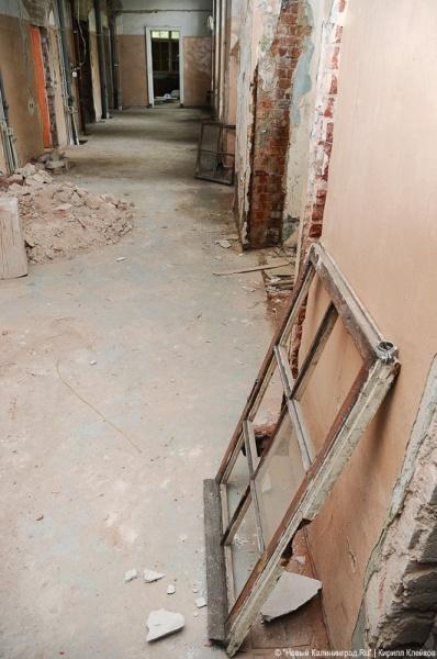 "Инфекционные горизонты": репортаж "Нового Калининграда.Ru"