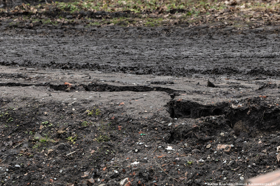 Непролазная грязь: как выглядит берег Литовского ручья в ожидании реновации (фото)