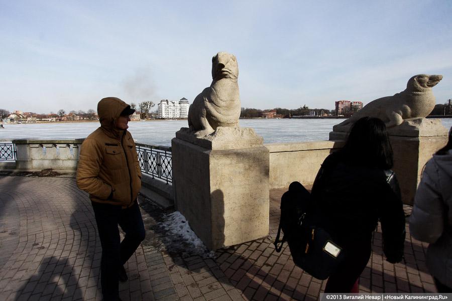 «Ярошук и Верхнее озеро»: как мэр города инспектировал провалы плитки