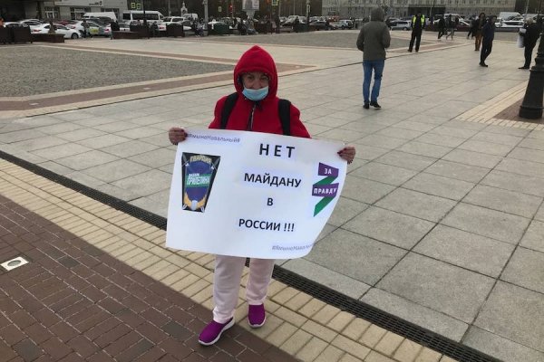 Противники Навального вышли на площадь с плакатами, их полиция не трогает (фото)