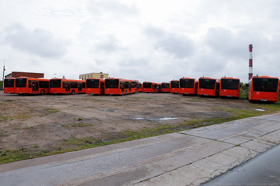 Мэрия: в Калининграде треть автобусов оснащена кондиционерами