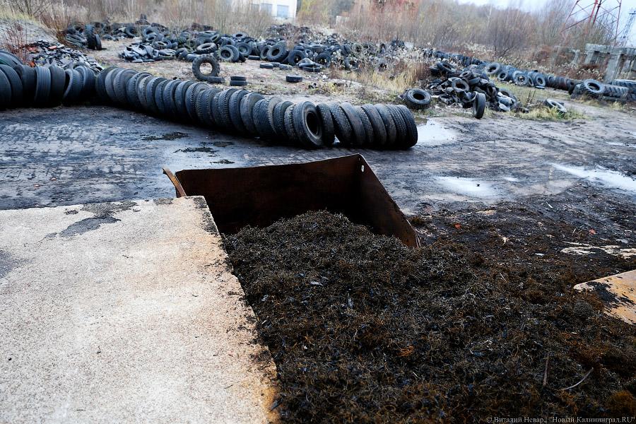 «Нечистый» бизнес: как и где в Калининграде научились зарабатывать на отходах