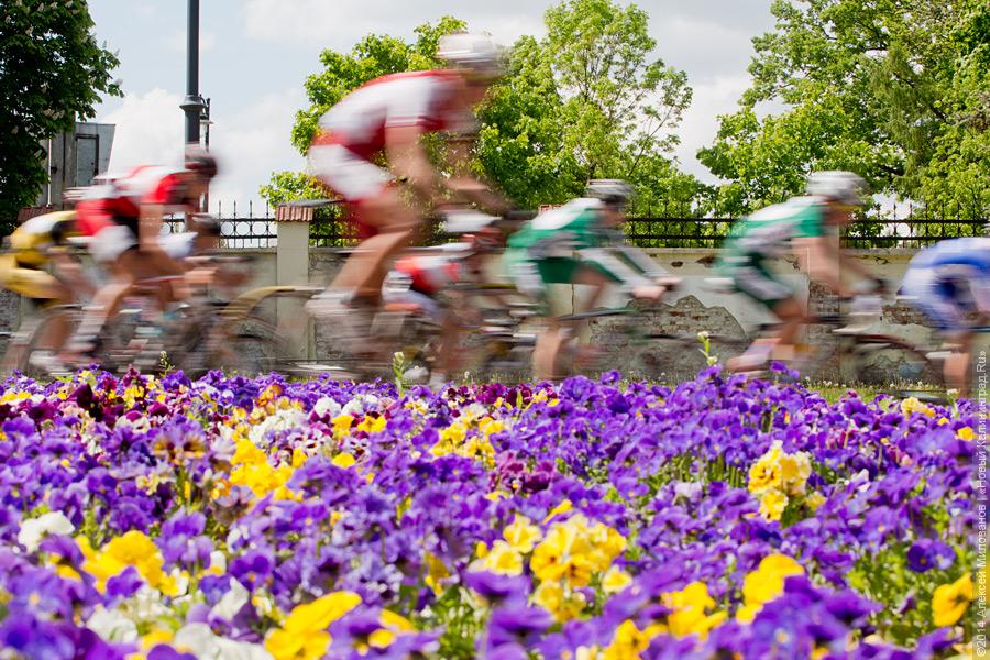 Распогодилось: что было на четвёртом калининградском «Дне колеса» (видео)