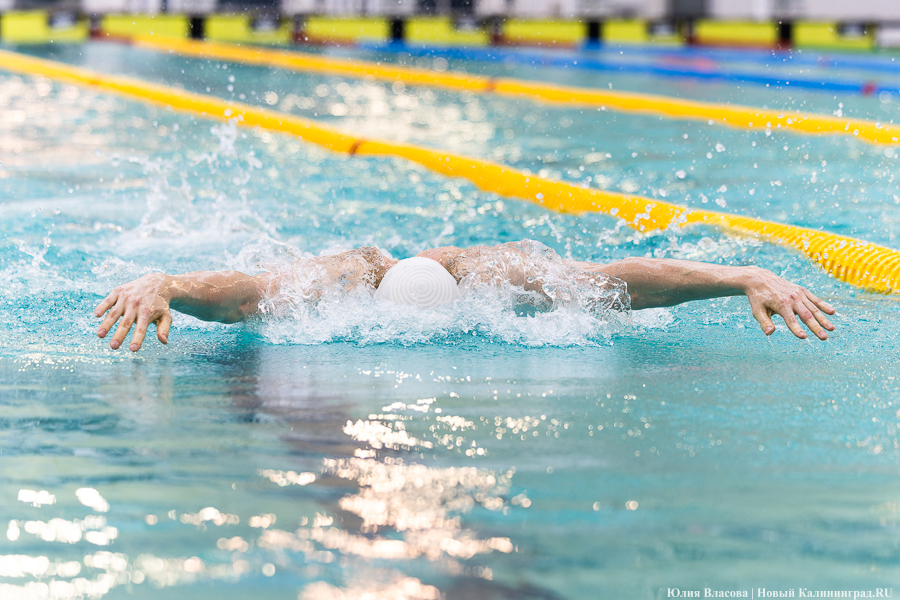 Легкой воды: как Калининград впервые принимал Кубок России по плаванию (фото)