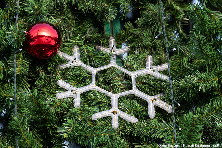 Символ без праздника: на площади Победы установили главную городскую ёлку (фото)