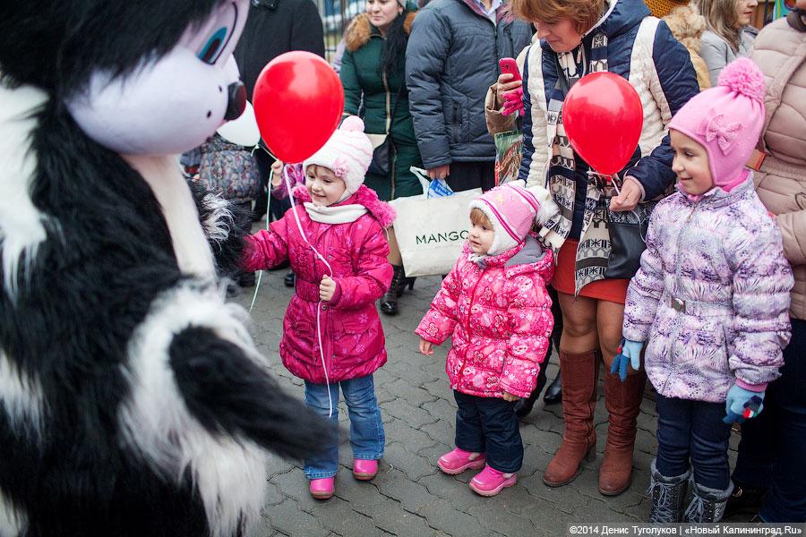 «Морячки» и «Заиньки»: на Фермора открылся новый корпус детсада