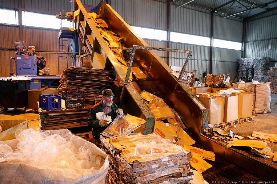 «Нечистый» бизнес: как и где в Калининграде научились зарабатывать на отходах