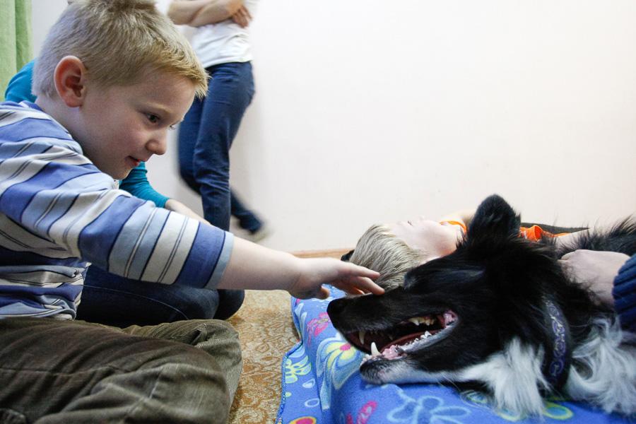 Ребята и зверята: репортаж с сеанса зоотерапии