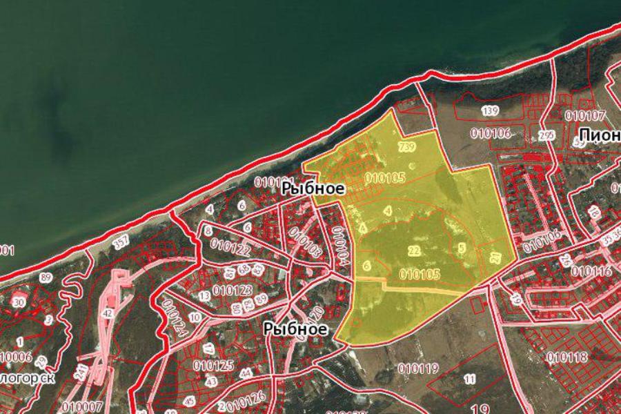 Прокуратура: Михейкин незаконно раздробил землю в Пионерском