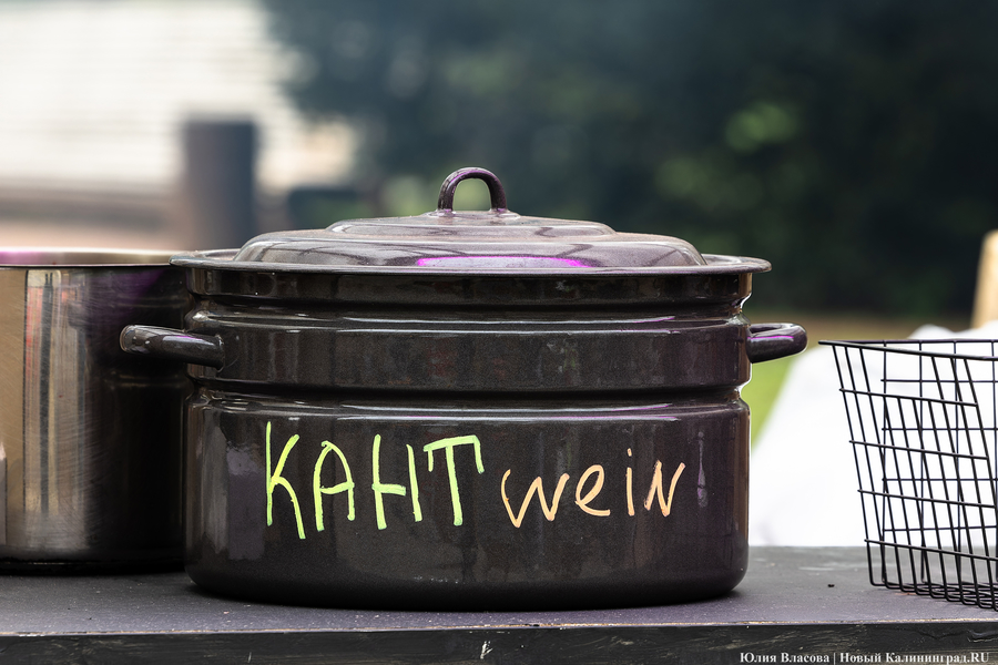 Прикидываясь Кантом: у Кафедрального собора открылась ярмарка (фото)