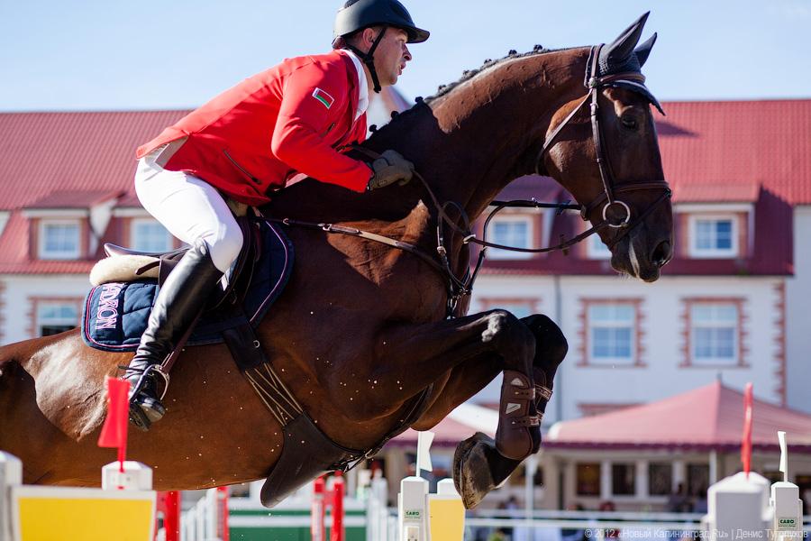 «Кубок президента РФ для немцев»: фоторепортаж с турнира по конкуру в Георгенбурге