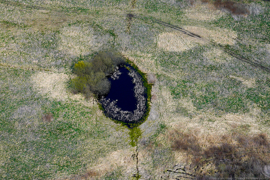 Под винтом вертолёта о чем-то поёт: воздушный парад глазами участника (фото)