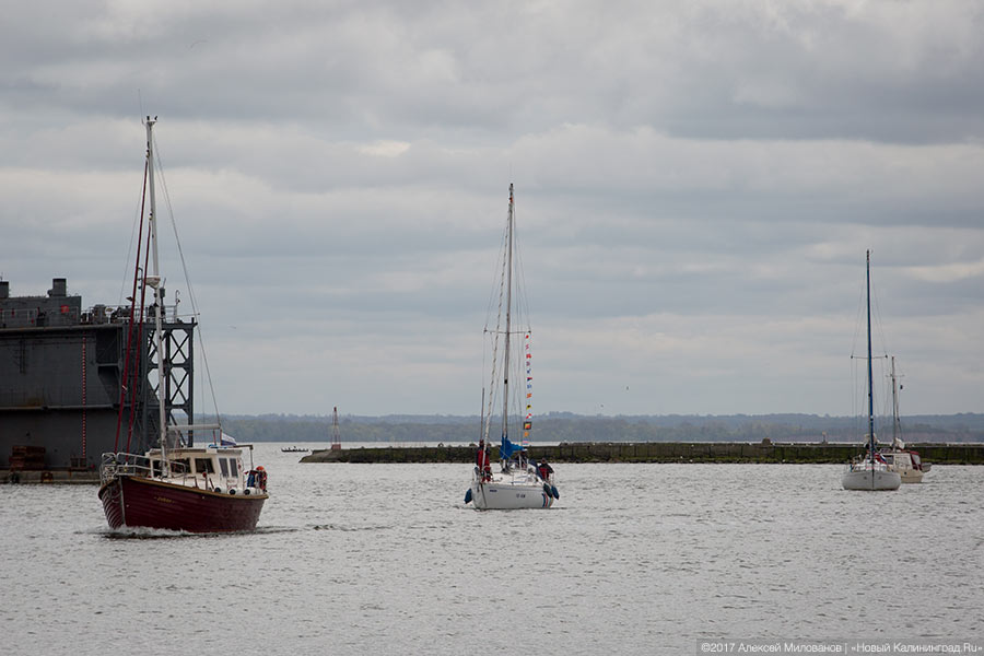 Венки на воде: яхтсмены в Балтийске почтили память погибших при штурме Пиллау