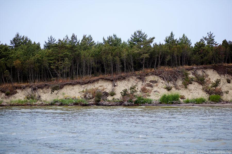 Дюны, мысы, птицы: как работает новый маршрут Куршской косы по воде