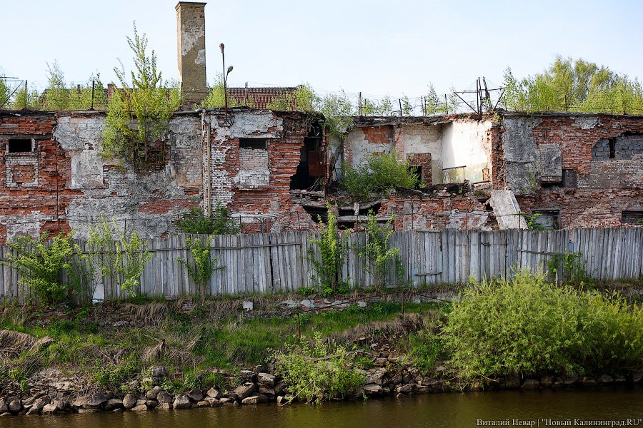 Коринт известный, Коринт запретный: в Гвардейске открылся дом-музей художника (фото)