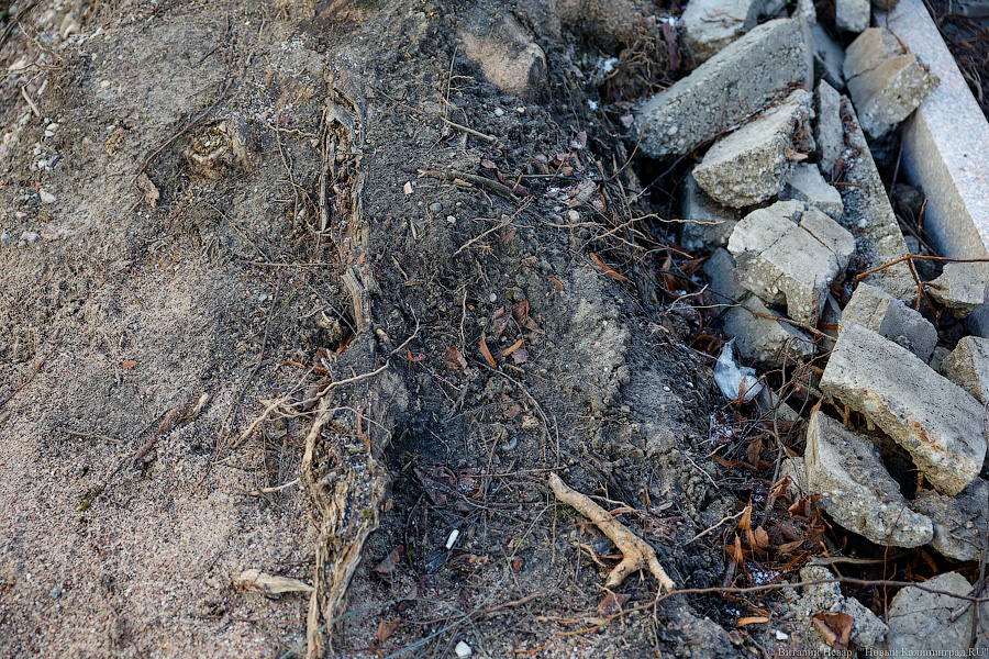 Коренные изменения: как выглядит сегодня благоустройство ул. П. Морозова (фото)