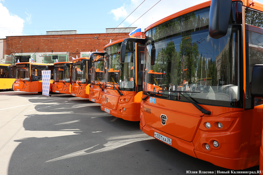 В поставленных в Калининград автобусах ЛиАЗ выявили производственный брак
