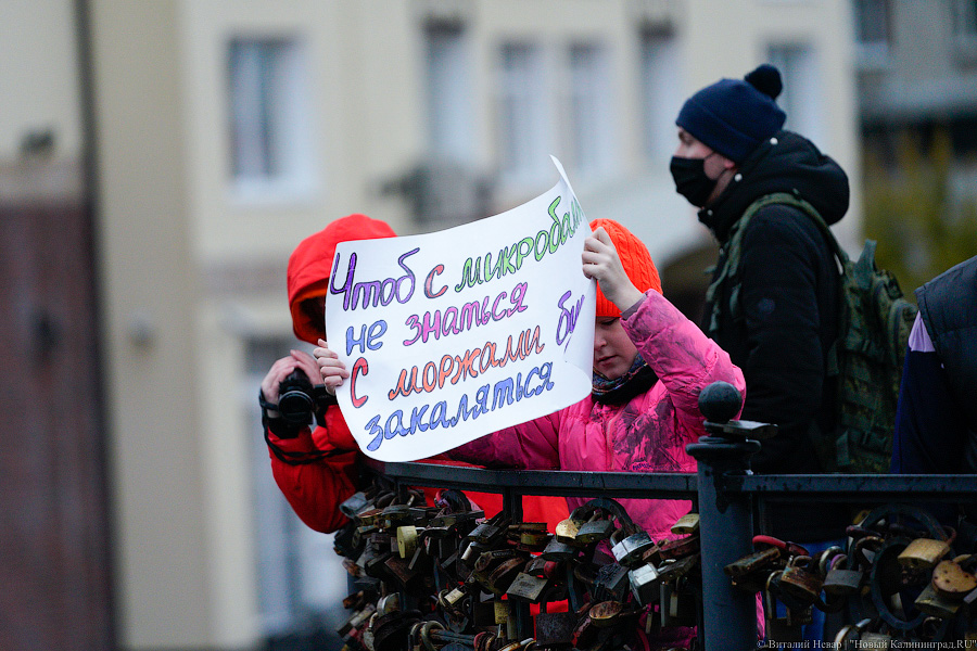День моржа: как пловцы пытались защитить экосистему Преголи (фото)