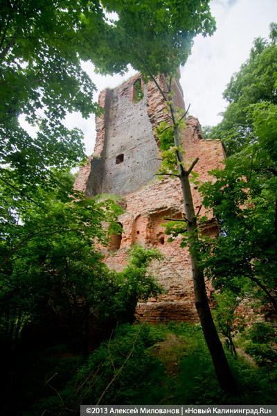 Черепки и воронки: «черные копатели» регулярно разграбляют руины кирхи в Корнево