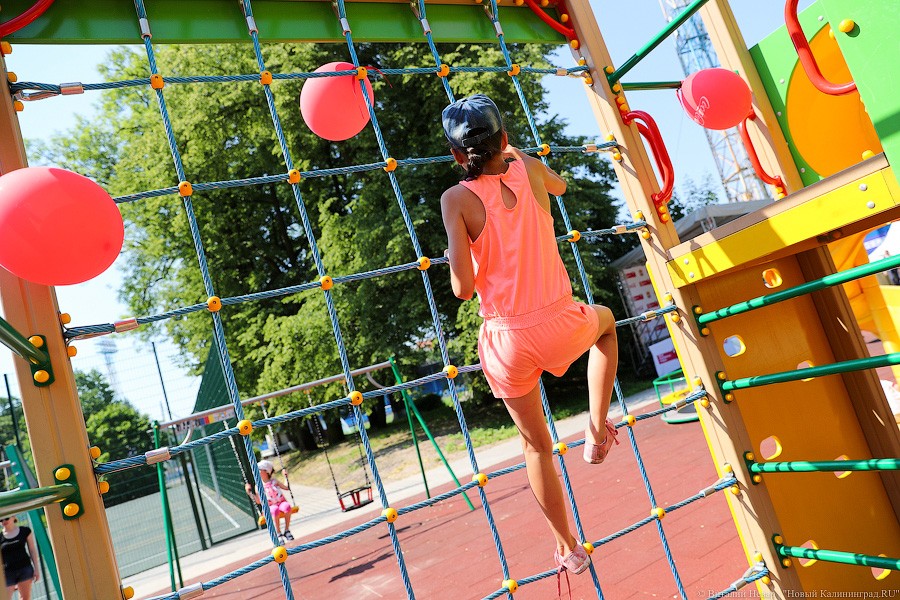 Все мы разные, все мы равные: в Калининграде открыли инклюзивный парк (фото)