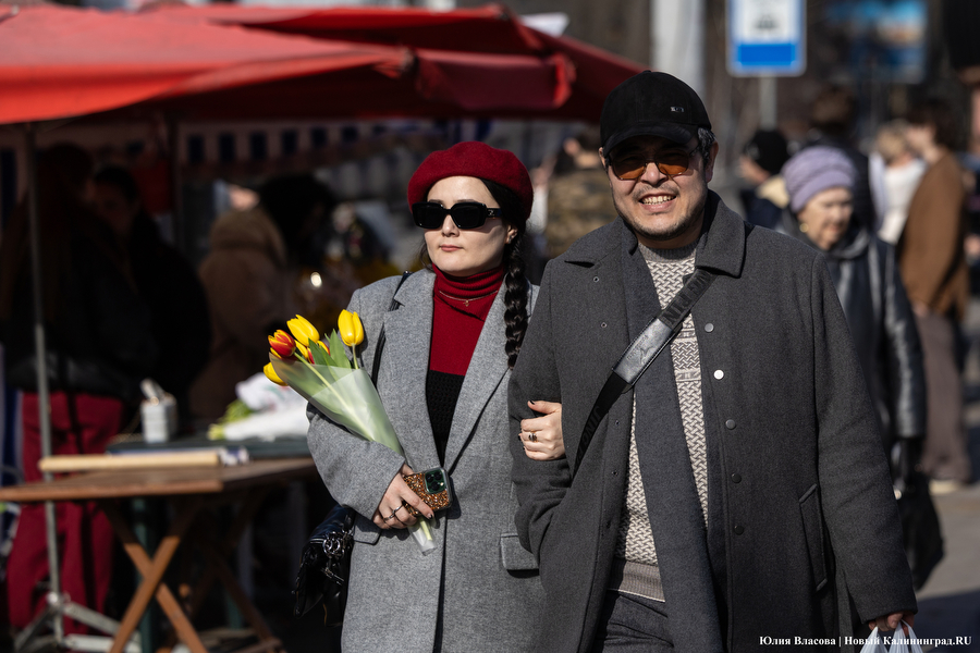 Мимозно-тюльпанный ажиотаж: Калининград накрыла традиционная цветочная лихорадка (фото)