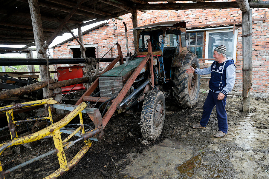 Картошка с молоком: как живут «лучшие начинающие фермеры России» из Славска