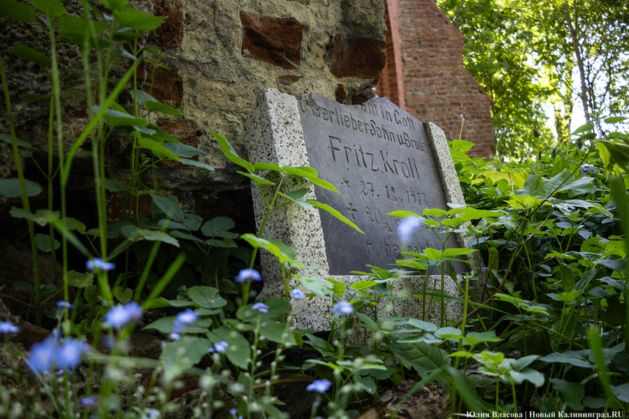 «Готическое Кольцо» старинных кирх: как прошло путешествие по новому маршруту (фото)