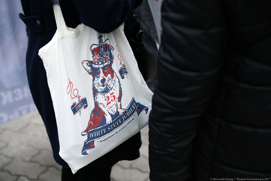 Вместе против живодеров: в Калининграде митинговали в защиту животных