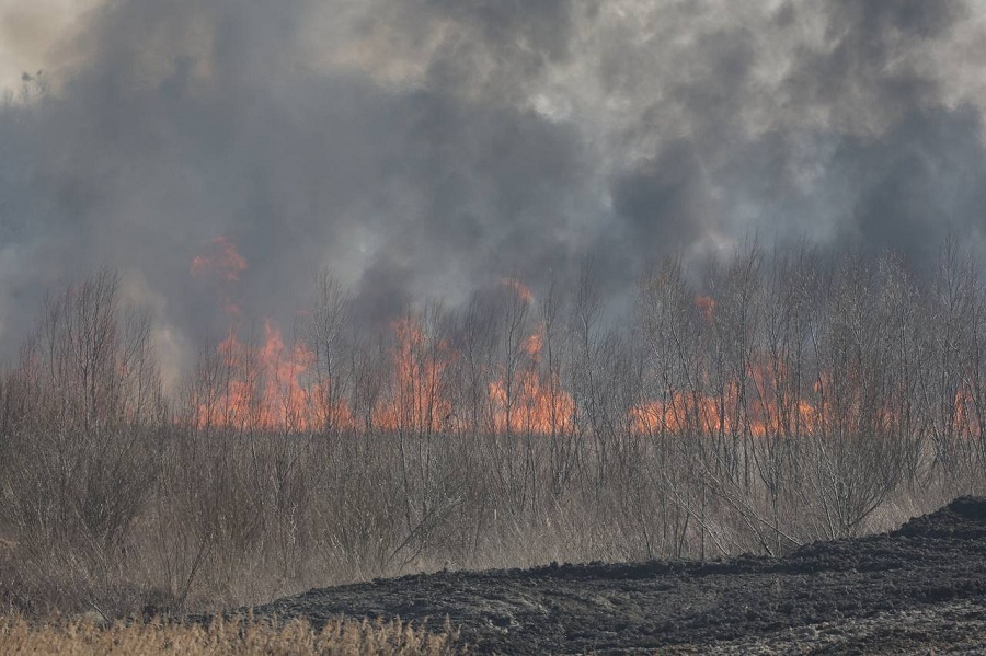 «Тушение затруднено сложностью подхода»: в МЧС прокомментировали пожар на Острове (фото)