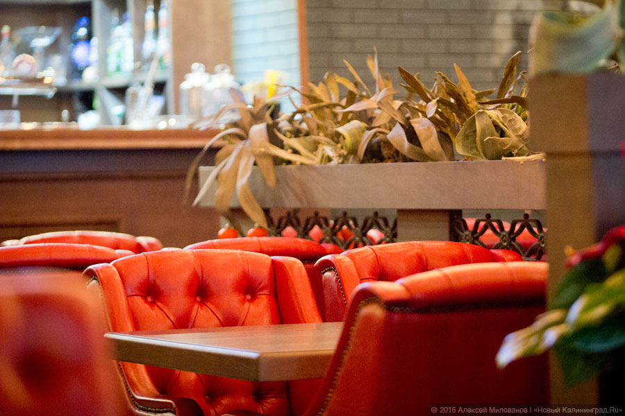 Новое место: кафе техасско-мексиканской кухни «On Fire» в ТРЦ «Европа»