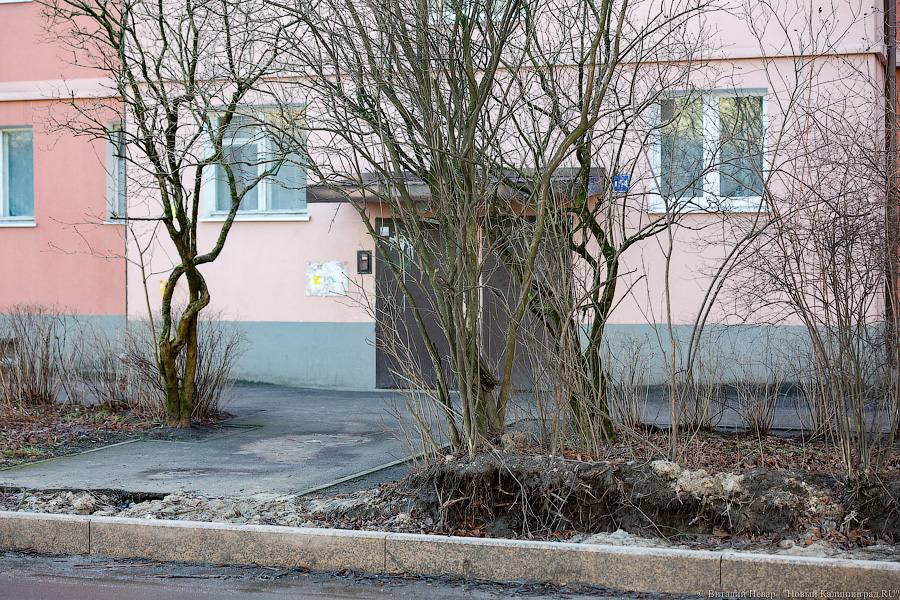 Коренные изменения: как выглядит сегодня благоустройство ул. П. Морозова (фото)