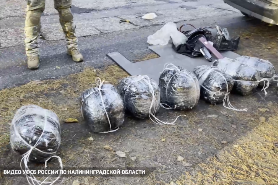Источник: по делу о контрабанде 500 кг янтаря задержали депутата Светлогорска
