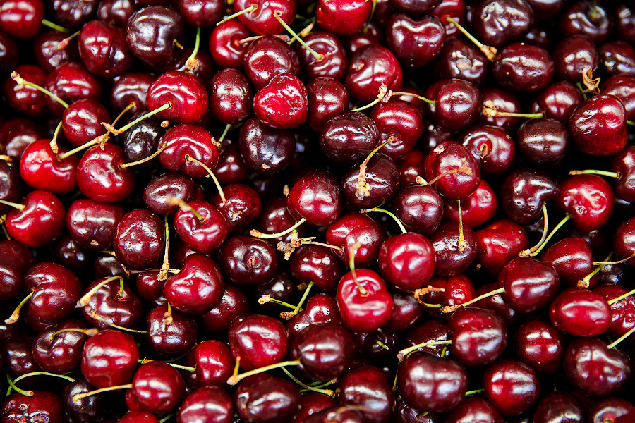 В Калининградской области начался сбор черешни