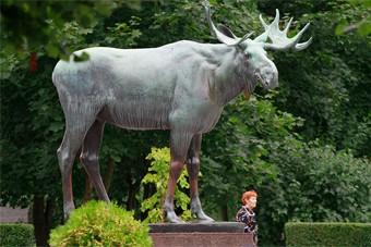 Борцы с коррупцией заподозрили власти Гусева в конфликте интересов