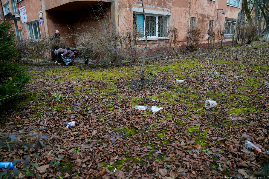 Теория целых окон: волонтеры пытаются спасти здание на Расковой с помощью уборки (фото)