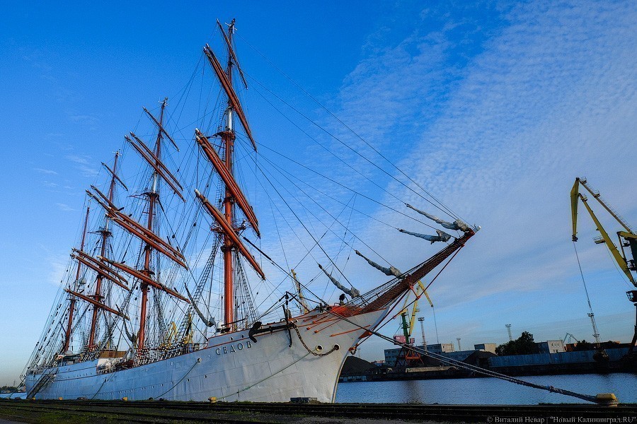 «Мама поседеет, папе пофиг»: «Крузенштерн» и «Седов» готовятся к кругосветке (фото)
