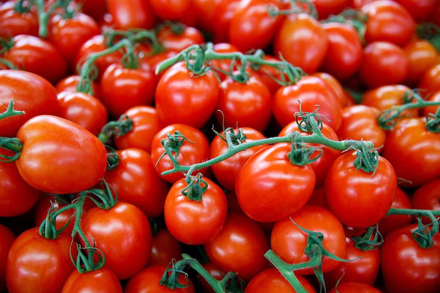 Россельхознадзор планирует проинспектировать турецкие предприятия, поставляющие томаты