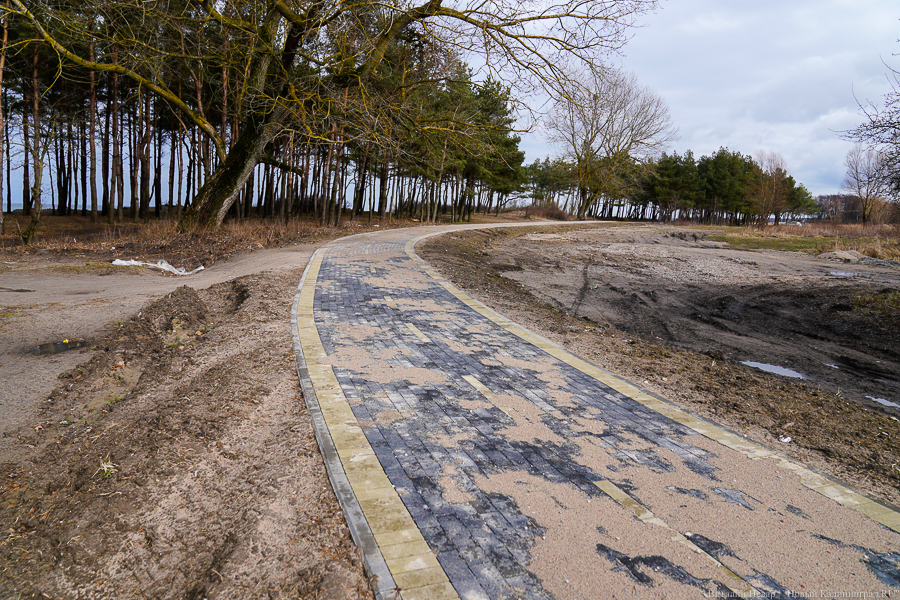 Губернатор потребовал «ударными темпами» делать парковку рядом с велодорожкой в Куликово