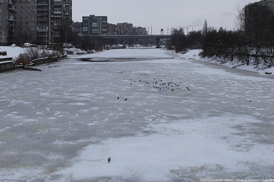 В Калининградской области на неделе прогнозируют легкий мороз, осадки и солнце