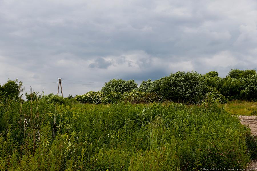 Страх и безысходность в де Толли: жизнь старинной усадьбы под Черняховском