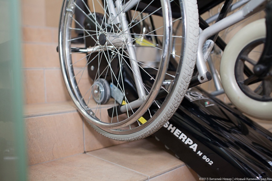 В Калининградском зоопарке появился бесплатный прокат инвалидных колясок