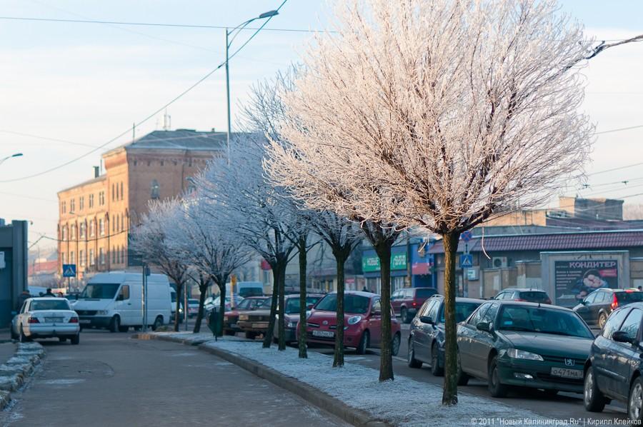 "Один день зимы": фоторепортаж "Нового Калининграда.Ru"